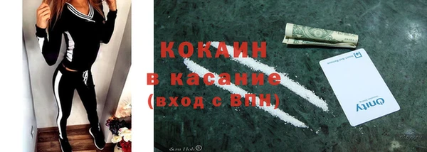 гашик Алексин