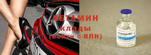 гашик Алексин