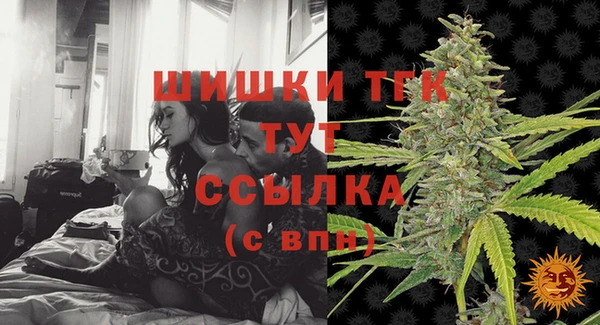стаф Аркадак