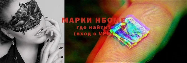 гашик Алексин