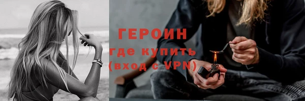 гашик Алексин